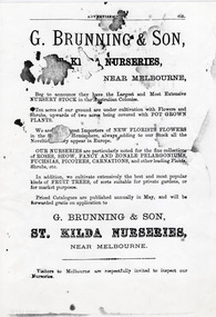Document - Advertisement, G Brunning & Son St Kilda Nurseries, Pre - 1901 (original)