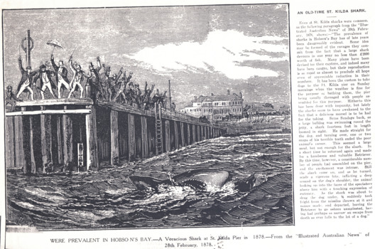 A black and white lithograph originally published in the 'Illustrated Australian News' in February 1878, depicting a shark attacking a dog in the water at the end of St Kilda Pier, with a large crowd gathered on the pier attempting to scare the shark away.