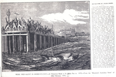 A black and white lithograph originally published in the 'Illustrated Australian News' in February 1878, depicting a shark attacking a dog in the water at the end of St Kilda Pier, with a large crowd gathered on the pier attempting to scare the shark away.