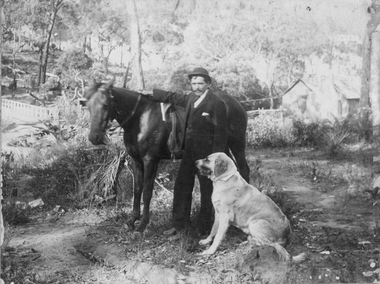 Photograph, Mr William Raitt with a horse & dog