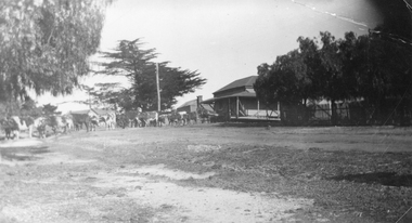 Photograph, Raitts House being moved by Bullock Team c 1923