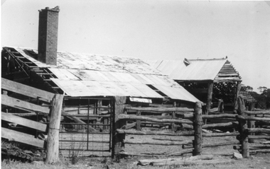 Photograph, Chaponnel Butchers Slaughter Yard cnr Clifton Avenue and Ormston Road -- 2 Photos & print of painting by Reg Cepon