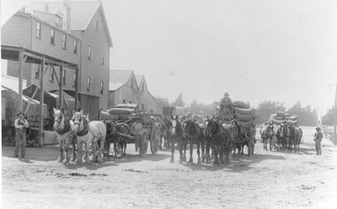 Photograph, Wimmera Flour Mill with horse drawn wagons loaded with wheat -- 2 B/W Photos