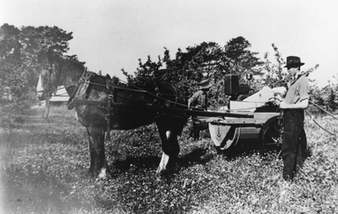 Photograph, Mr Bill Lancaster & Mr Jim McGarry spraying Fruit Trees with a horse drawn Unit at the Pomonal Orchard