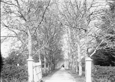 Photograph, “The Sycamores” Driveway entrance Gates