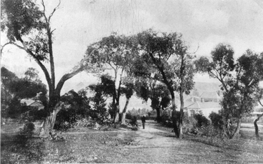 Photograph, Man standing on pathway on Church Hill Stawell West looking West