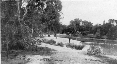 Photograph, Botanical Reserve in Stawell West