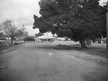 Photograph, Clifton Avenue looking towards Barnes Street Stawell
