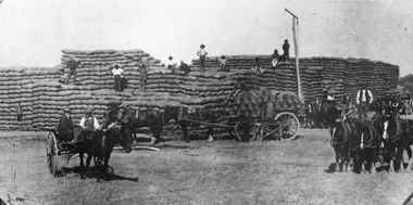 Photograph, Wheat Stacks during Harvest at Marnoo 1908 - 1909