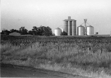 Photograph, Silos at Marnoo