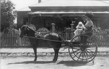 Photograph, Horse Drawn Gig outside the home of Willian Cuthill in Barnes Street 1909