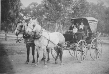 Photograph, 2 Horse Drawn Double Seated Buggy with Mr John Herman & Mrs Martha Herman nee Zanker & Walter, Ella, Ruby at Katyil 1921- 1925