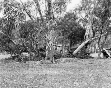 Photograph, Fountain Head Brewery at Armstrong featuring a Slab Hut