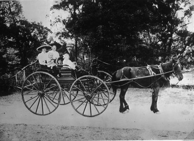 Photograph, Family outing in Horse Drawn Buggy