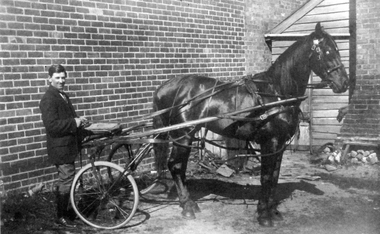 Photograph, Mr Fred Mason with “Trotter” owned by Mr Wm. Anthony near Stawell Club c1920's