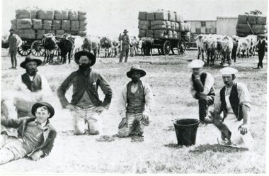 Photograph, Bullock Drawn Wool Carts and Shearing Sheds at "Carr's Plain"