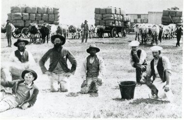 Photograph, Workers in front of Bullock Drawn Wool Carts and Shearing Sheds at "Carrs Plain"