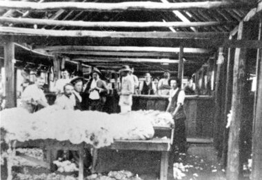 Photograph, “Glynwylln” Shearing Shed with workers early 1900s