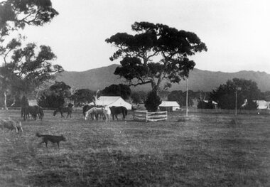 Photograph, “Yarram Park” Homestead West of Willaura with the Grampians in the background