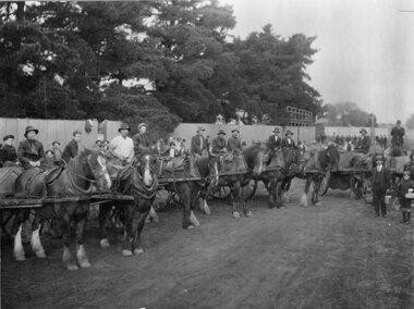 Photograph, Working Bee at Central Park probably to make the Fire Brigade practice track with Horses & Drays