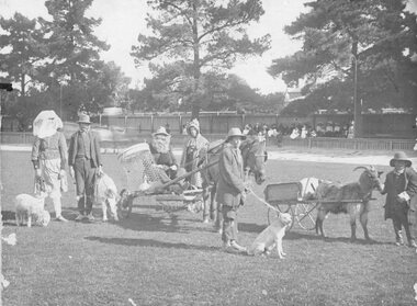 Photograph, Stawell Central Park Oval activities with Mr Claude Raitt leading the goat cart 1912