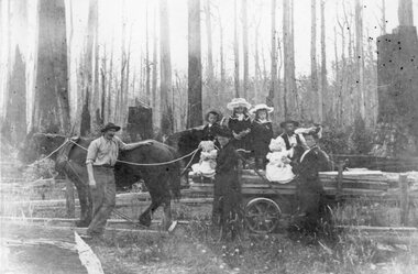 Photograph, Mr Peter Borella standing beside the horse with cart transporting timber with family seated on the timber c1900