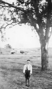 Photograph, Mr Hec or Harold Wilson with Darlington Road Stawell in the background