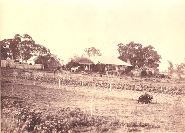 Photograph, "Allanvale" Home Station in Great Western 1866
