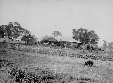 Photograph, "Allanvale" Home Station in Great Western 1866