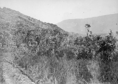 Photograph, Grampians Entrance to Halls Gap 1866