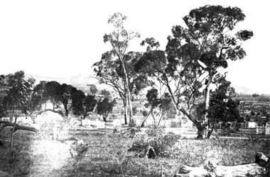 Photograph, Pleasant Creek Cemetery 1866