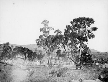 Photograph, Pleasant Creek Cemetery 1866