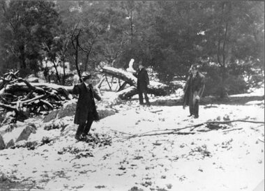 Photograph, Snow Scene in the Black Ranges 1901-- 2 Photos