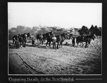 Photograph, Pleasant Creek -- Stawell Hospital site being prepared with workmen & horse drawn levellers