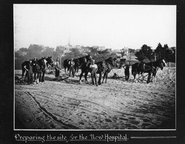 Photograph, Pleasant Creek -- Stawell Hospital site being prepared with workmen & horse drawn levellers