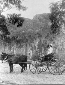 Photograph, Stawell Water Supply Water Ranger’s Wife -- Mrs Cumming nee Unknown in a Jig in the Grampians