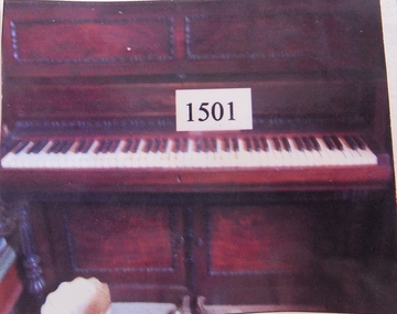 Instrument - Musical Instrument