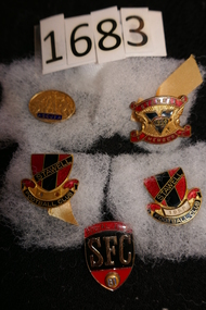 Memorabilia - Badge