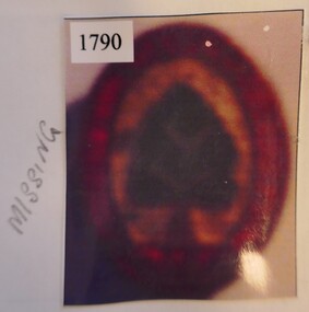 Memorabilia - Badge