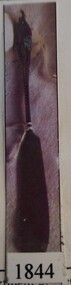 Memorabilia - Realia, c1900's