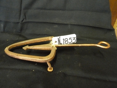 Memorabilia - Realia, c1900's