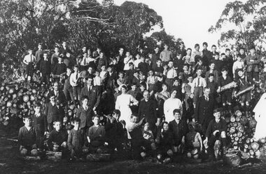 Photograph, Stawell Primary School Number 502 -- Wood Bee fundraiser for the Hospital 1920