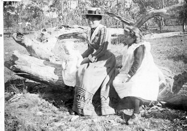 Photograph, "Glisson" Family from Great Western