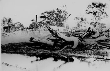 Photograph, Bush Saw Mill on the Wimmera river 1887