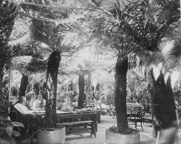 Photograph, “Carlsrule” Home Fernery of the Whel Family c1885-1890 -- 2 Photos