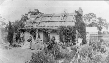 Photograph, Weatherboard Cottage with Bark Roof and garden c1880