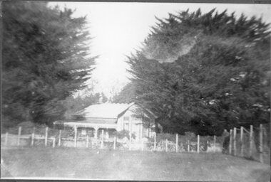 Photograph, “Sycamores” homestead in Concongella c1920’s