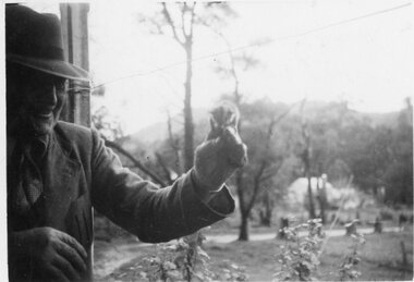 Photograph, Stawell Field Naturalists with a Sugar Glider in Halls Gap 1953 -- 3 Photos