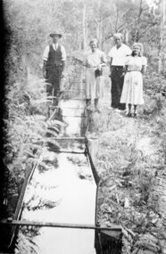 Photograph, Stawell Water Supply's Open Fluming c1948