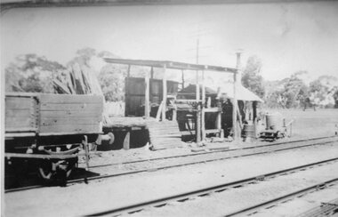 Photograph, Deep Lead - Saw Mill at Railway Station
